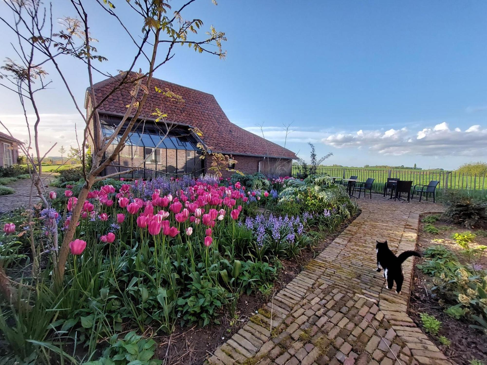 B&B Stefans Pottery Poperinge Exterior photo